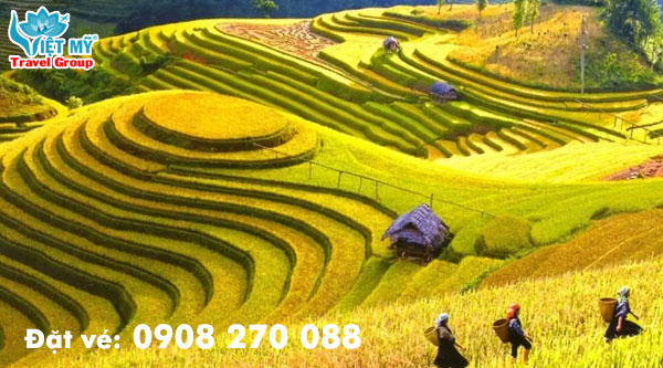 Đặt vé máy bay Tết giữa Hà Nội - Điện Biên