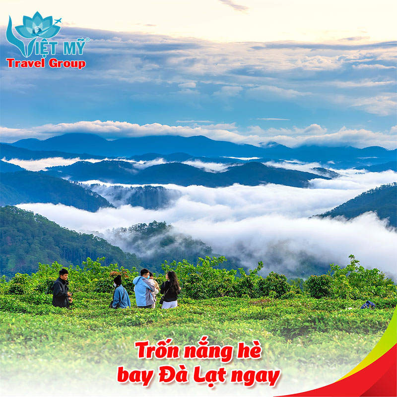 Trốn nắng hè – Bay Đà Lạt ngay