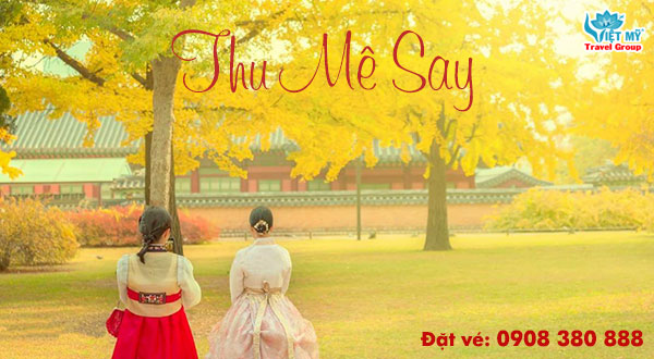 Đặt vé máy bay ưu đãi mùa Thu đi Hàn & Nhật của Asiana Airlines giá rẻ